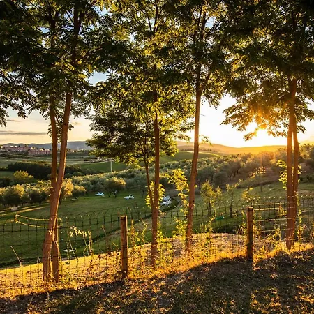 Agriturismo Il Sambuco-3